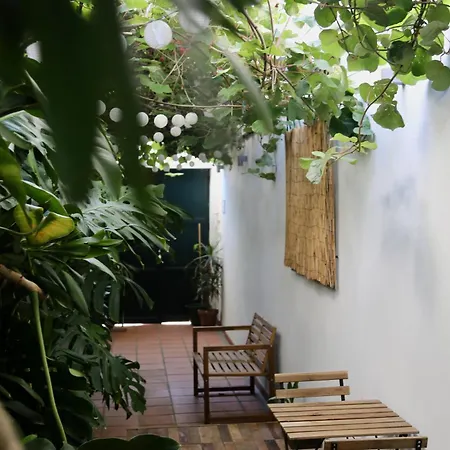 Apartment Refugio Com Jardim No Coracao De