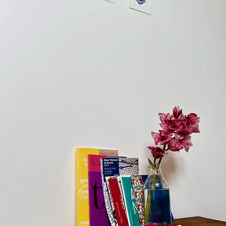 Refúgio Com Jardim No Coração De Aveiro