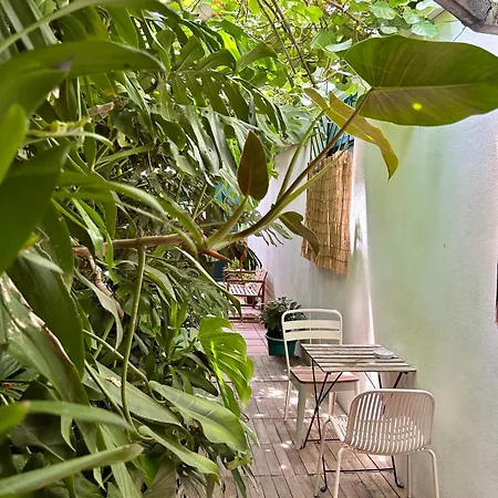 Apartment Refugio Com Jardim No Coracao De Aveiro