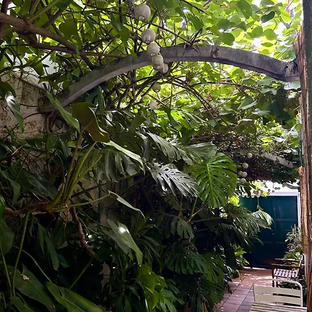 Refugio Com Jardim No Coracao De Apartment Aveiro