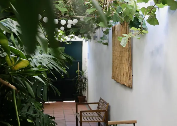 公寓 Refugio Com Jardim No Coracao De